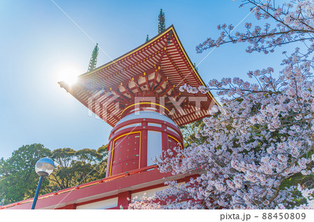 【第23番札所】春の薬王寺　瑜祇塔【四国八十八箇所】 88450809