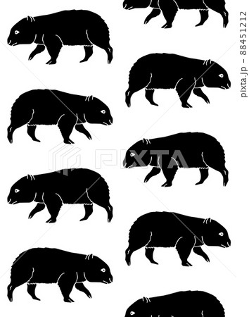 Vector seamless pattern of hand drawn wombat Vector seamless pattern of hand drawn wombat 88451212