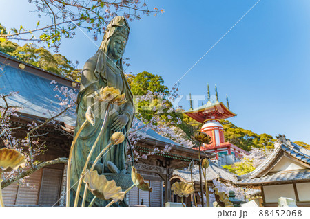 【第23番札所】春の薬王寺　魚籃観音【四国八十八箇所】 88452068