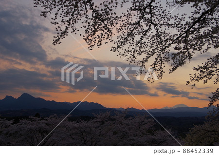 満開の桜に彩られた群馬県安中市にある春の後閑城址公園 満開の桜に彩られた群馬県安中市にある春の後閑城址公園 88452339