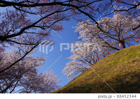 満開の桜に彩られた群馬県安中市にある春の後閑城址公園 満開の桜に彩られた群馬県安中市にある春の後閑城址公園 88452344