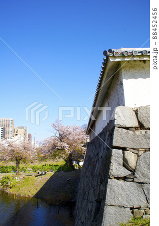 福岡城下之橋御門と桜 福岡城下之橋御門と桜 88452456