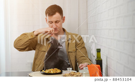 Man feeds domestic cat with food having breakfast in kitchen Man feeds domestic cat with food having breakfast in kitchen 88453104