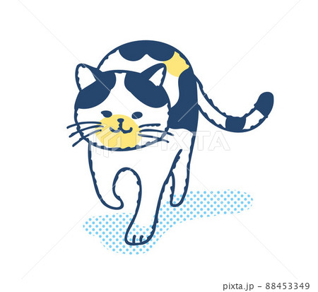 歩いている猫 88453349
