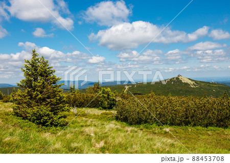 mountain path in the Karkonosze Mountains 88453708