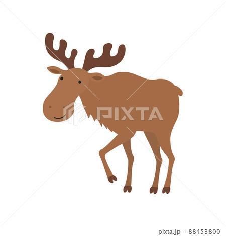 Illustration of moose cartoon. Vector illustration isolated Illustration of moose cartoon. Vector illustration isolated 88453800