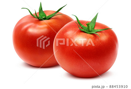 トマト イラスト リアル セット 88453910