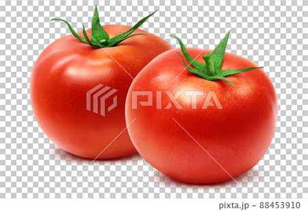 トマト イラスト リアル セット 88453910