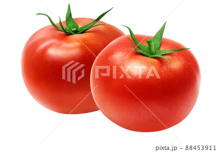 トマト イラスト リアル セット 88453911