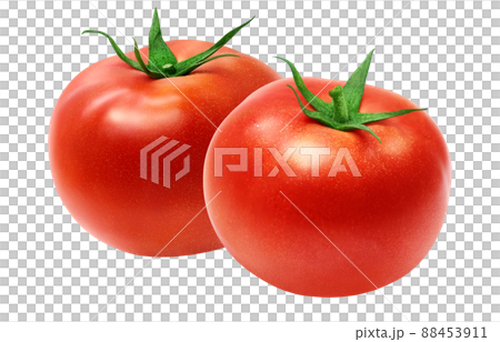 トマト イラスト リアル セット 88453911
