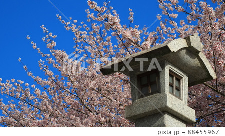 朝日山森林公園7 88455967