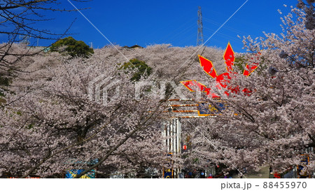 朝日山森林公園10 88455970