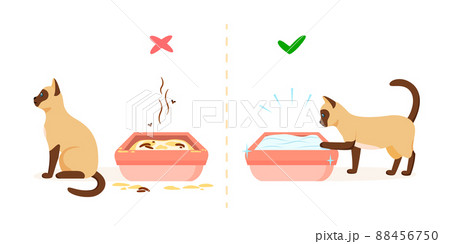 Dirty and clean cat litter box. Wrong and right way to maintain pet toilet. Pet toilet hygiene concept. Vector illustration 88456750