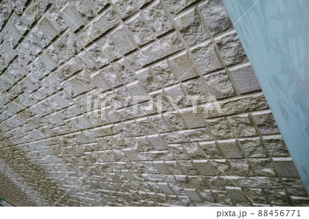 外壁の苔 外壁の苔 88456771