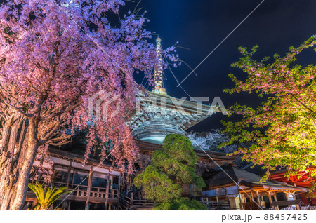 茨城県桜川市　雨引観音の桜のライトアップ 88457425