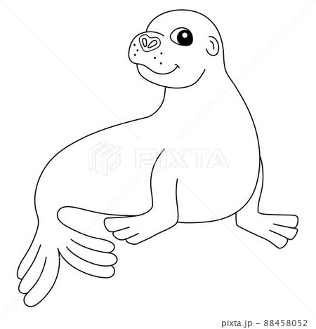 Sea Lion Animal Coloring Page Isolated for Kids 88458052