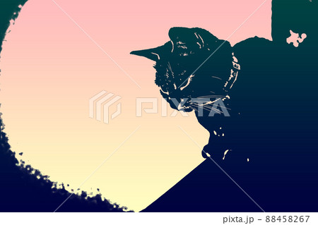 猫 ネコ ねこ キジトラ 白 グレー 子猫 雌 メス 雌ねこ 雌ネコ 雌猫 元気 かわいい 癒し 猫 ネコ ねこ キジトラ 白 グレー 子猫 雌 メス 雌ねこ 雌ネコ 雌猫 元気 かわいい 癒し 88458267