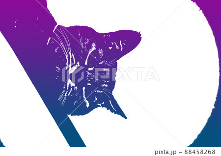 猫 ネコ ねこ キジトラ 白 グレー 子猫 雌 メス 雌ねこ 雌ネコ 雌猫 元気 かわいい 癒し 88458268