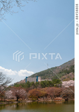 Spring nature scenery at Jinhae NFRDI Environment Eco-Park in Changwon, Korea Spring nature scenery at Jinhae NFRDI Environment Eco-Park in Changwon, Korea 88458808