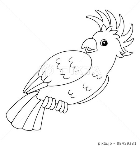 Cockatoo Animal Coloring Page Isolated for Kids 88459331