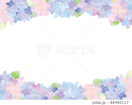 水彩の紫陽花（アジサイ）のイラスト素材 88460117