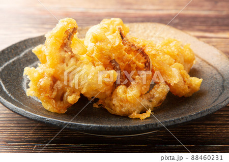 スルメイカの天ぷら 88460231