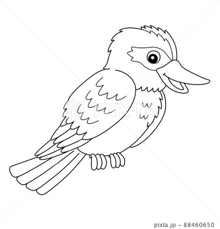 Kookaburra Animal Coloring Page Isolated for Kids Kookaburra Animal Coloring Page Isolated for Kids 88460650