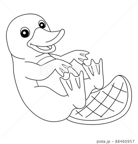 Platypus Animal Coloring Page Isolated for Kids 88460957