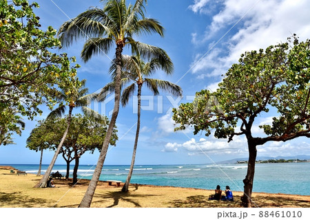 ハワイの休日 88461010