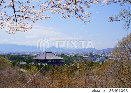 桜満開宣言の日の東大寺と興福寺五重塔 88461098