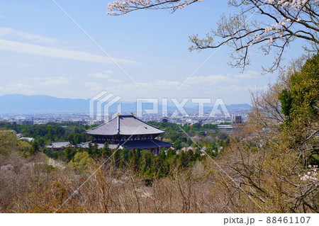 桜満開宣言の日の東大寺と興福寺五重塔 桜満開宣言の日の東大寺と興福寺五重塔 88461107