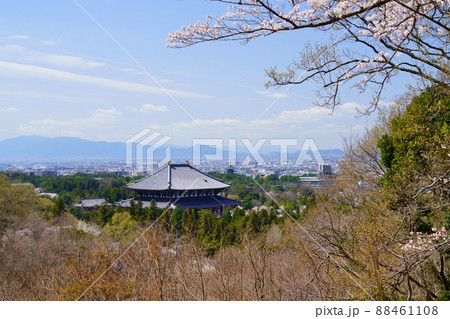 桜満開宣言の日の東大寺と興福寺五重塔 桜満開宣言の日の東大寺と興福寺五重塔 88461108