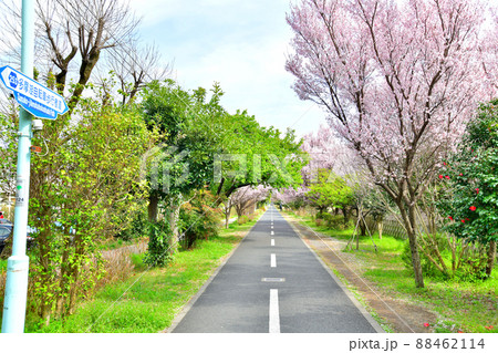 多摩湖自転車歩行者道／八坂駅付近(東京都東村山市)【2022.3】 88462114
