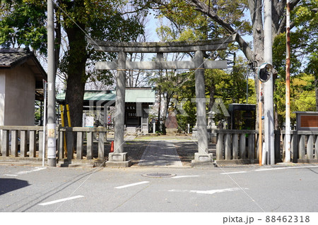 小杉神社(川崎市中原区)鳥居 小杉神社(川崎市中原区)鳥居 88462318