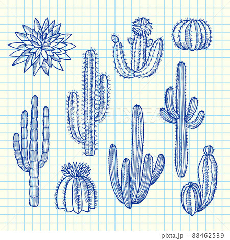 hand drawn wild cacti plants set on blue cell sheet background illustration hand drawn wild cacti plants set on blue cell sheet background illustration 88462539