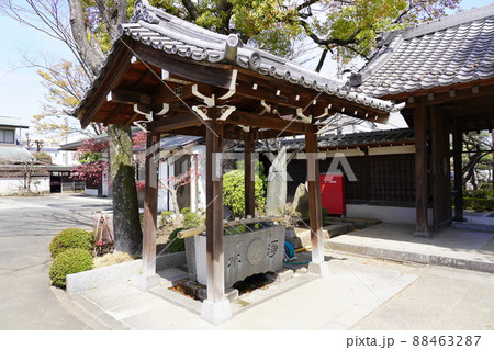 西明寺(川崎市中原区)手水舎 西明寺(川崎市中原区)手水舎 88463287