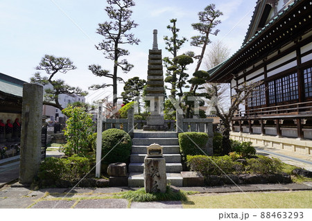 西明寺(川崎市中原区) 西明寺(川崎市中原区) 88463293