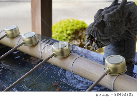 西明寺(川崎市中原区)手水舎 西明寺(川崎市中原区)手水舎 88463305