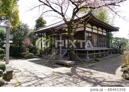 西明寺(川崎市中原区)観音堂 西明寺(川崎市中原区)観音堂 88463306