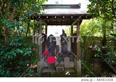 西明寺（川崎市中原区） 88463308