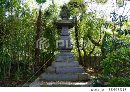 西明寺（川崎市中原区）出世弁財天 88463313