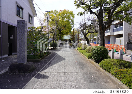 西明寺（川崎市中原区）参道 88463320