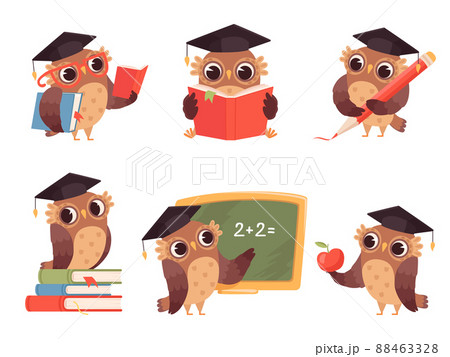 Owl teacher. Cartoon bird characters with back to school items cute mascots reading pointing illustrations 88463328