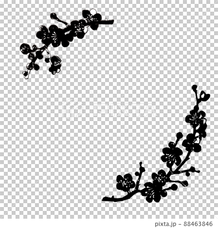 梅の花のイラストフレームのイラスト素材 [88463846] - PIXTA