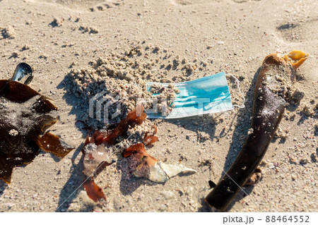 High angle view of abandoned face mask with kelps on sand at beach during sunny day 88464552