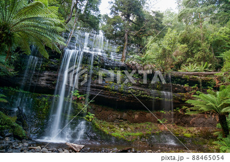 ダイナミックなラッセルフォールズ  ダイナミックなラッセルフォールズ  88465054