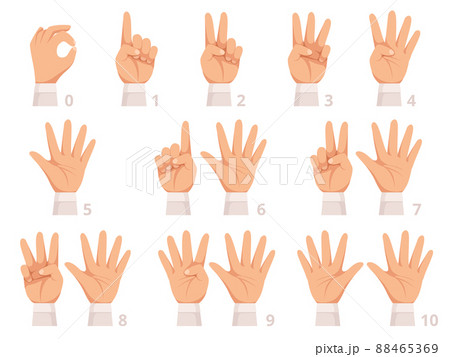 Hands gesture numbers. Human palm and fingers show different numbers cartoon illustration 88465369