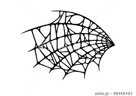 Spider web isolated on white background. Spooky Halloween cobweb. Vector illustration 88466482
