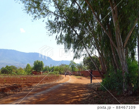 アフリカのマラウイ・ゾンバの日常風景 88467109