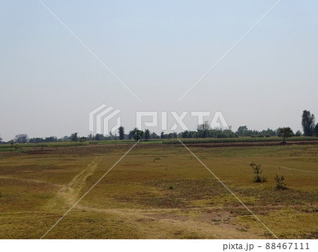 アフリカのマラウイ・ゾンバの日常風景 88467111